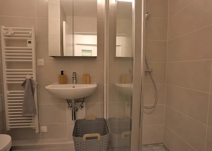 Apartment Lumineux Et Moderne De 55 M2 De Standing Proche Strasbourg Reichstett