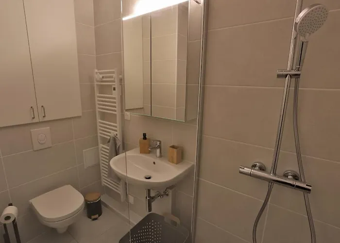 Lumineux Et Moderne De 55 M2 De Standing Proche Strasbourg Apartment